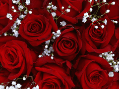 [브렛루디] 첫사랑