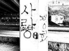 [타로/사주] 커미션