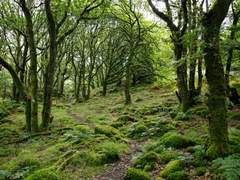 에궁 그래도 죽지는 마세요