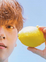 데일리 시트러스