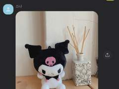 올해는 검은 토끼의 해라는데