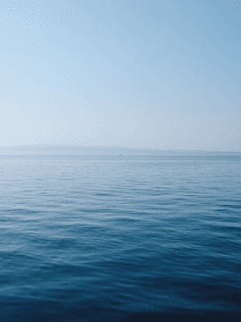 사인철월~오합지졸 패밀리~