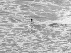 Have a cup of coffee and go.