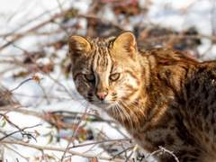 둘다 지랄맞지만 기의 발란스가 잘 맞는 우리 부부~