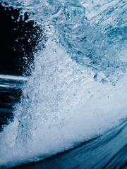 채드윅너붕붕으로 마피아보스인 채드윅ㅂㄱㅅㄷ