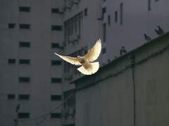 윤신아 · 관리팀