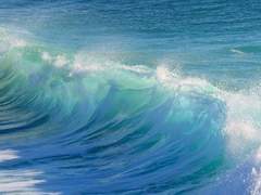 작은 눈보라가 일으킬 폭풍