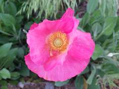 천국 가는 방법 5/120