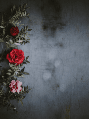 당신의 최애는? (BL단편선)