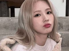 포토피아 클린수치