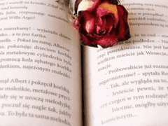 아인하린 서사정리