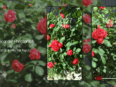 Camcorder Photograph