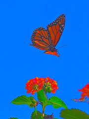 페이탄이 우리집 무단침입하는 망상