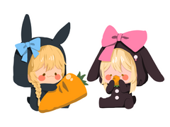 계묘년, 아기 토끼 아이테르와 루미네