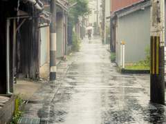 하늘엔 비가 내리지 않는다