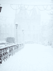 하루 시 한 모금