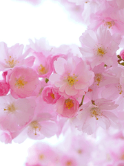 한 페이지 타입 작업물