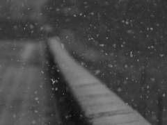 너는 왜 내가 아니면 안 됐던 걸까?