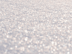 2017, 겨울 - 정아별