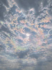 이 세계로 초청받았습니다