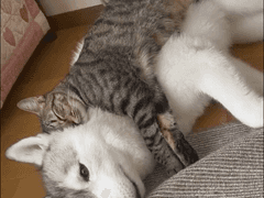 동성 연애는 처음이라 4