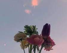 [히나른] 나는 나