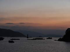 [츠키노키자와 유레] 유령상어