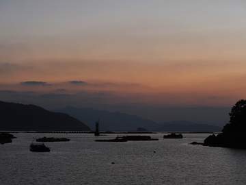 [츠키노키자와 유레] 유령상어