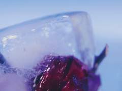 몬스타엑스 하라메 프리뷰 리뷰