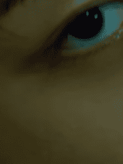 햇빛 아래 그림자