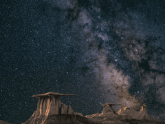 스타 스트림의 스타 prol