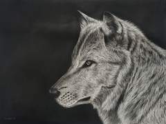 𝑊𝑜𝑙𝑓, 𝑎𝑛𝑑 𝐾𝑖𝑛𝑔