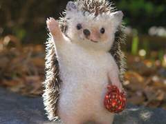 오랜만에 인사드리네요~