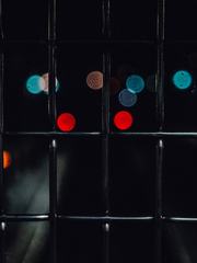 [전윤] 파뢰의 과실