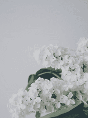 시험에 들게 하지 마옵소서