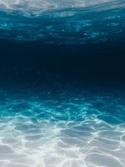 내 말 듣고 있어?