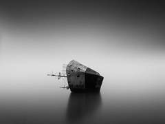 [세포신곡] 귀환