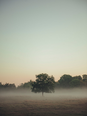 [가히리] 무쿠츠나