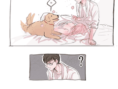 그냥 엄청나게 자는 노아