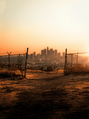 좀비를 사랑하는 법