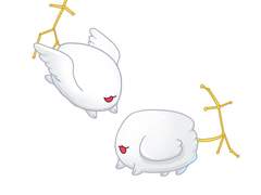 25. 쌍둥이자리 윙펫