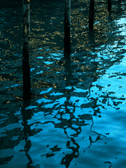 𝗖𝗼𝗺𝗺𝗶𝘀𝘀𝗶𝗼𝗻 [ 상시 ]