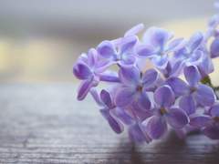 예민하고 마음 여린