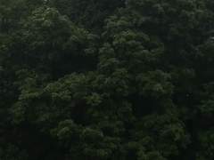 [동런] 여름의 첫사랑