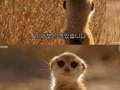 [NCT] 하숙집 사기 당했습니다 02