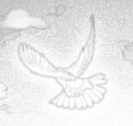 [야생소 주작조] 숲