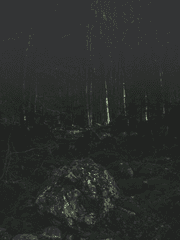 [NCT] When we are here, Slytherin.