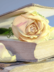 작가님, 클리셰를 섞어주세요!