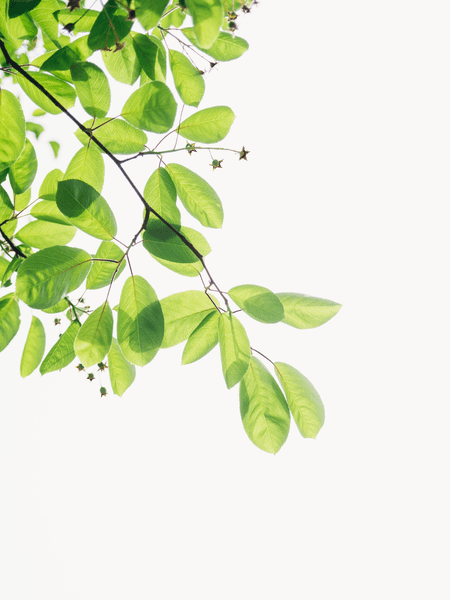 블랙홀을 가로질러 갈 수 있다면