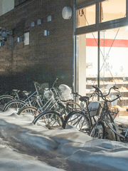 종내엔 게워 내고